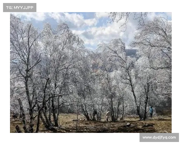冬日湖畔的梦幻之旅与味蕾心灵的完美碰撞带给你无与伦比的体验 冬日湖畔的梦幻之旅与味蕾心灵的完美碰撞带给你无与伦比的体验
