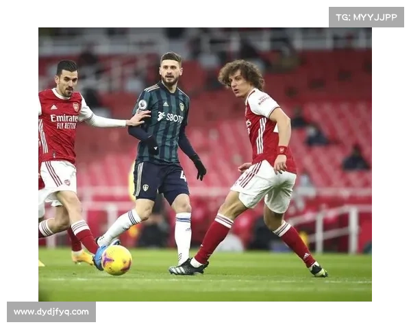 大卫路易斯常见位置分析与战术作用探讨