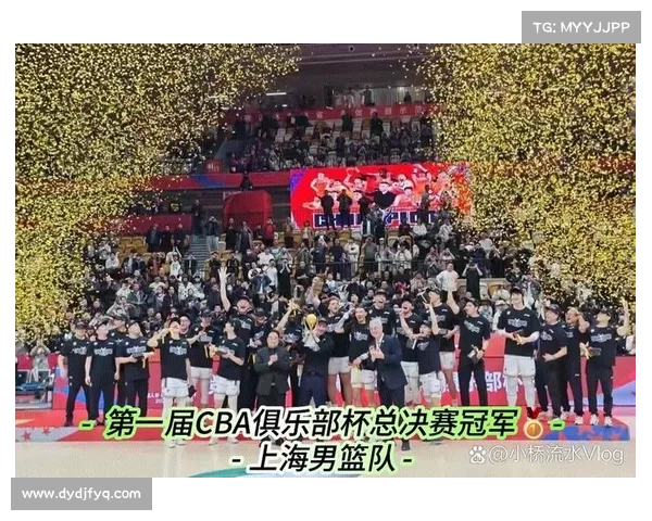 如何通过数据分析和团队表现预测体育赛事冠军的潜力